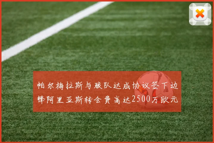 帕尔梅拉斯与狼队达成协议签下边锋阿里亚斯转会费高达2500万欧元